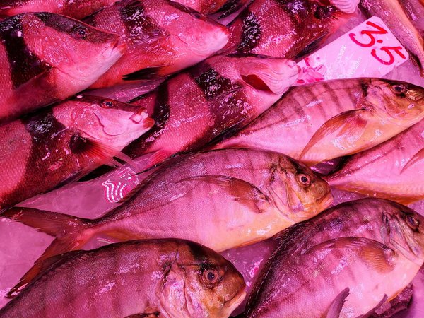 Quels sont les avantages de la réflexologie pour la relaxation et le bien-être ?