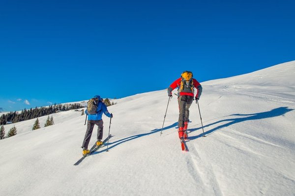 En quoi les randonnées en montagne peuvent-elles bénéficier à la santé physique et mentale ?