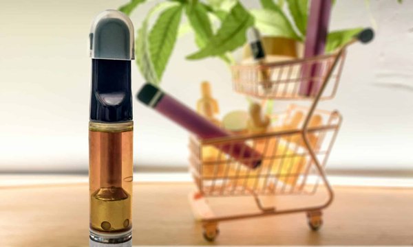 Découvrez le paradis du cbd & vape dans notre espace dédié